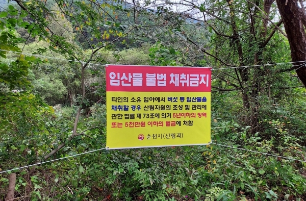 산림 내 불법행위 단속 홍보물(순천시제공)